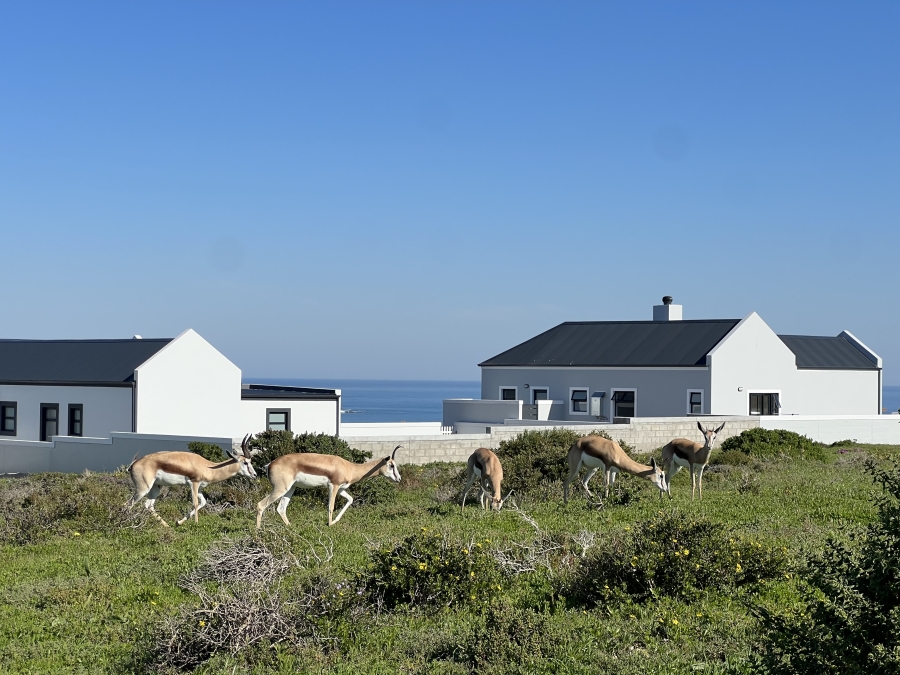 4 Bedroom Property for Sale in Hoogland Western Cape
